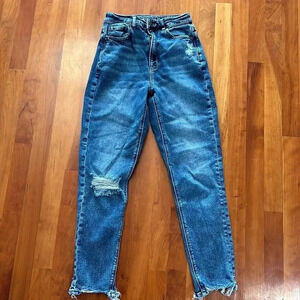 (15)American eagle  denim